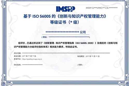 ISO56005证书分级评价工作流程图（创新与知识产权管理能力等级）